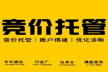 揭秘SEM推广代运营公司的成功之路